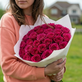Dark Pink Roses