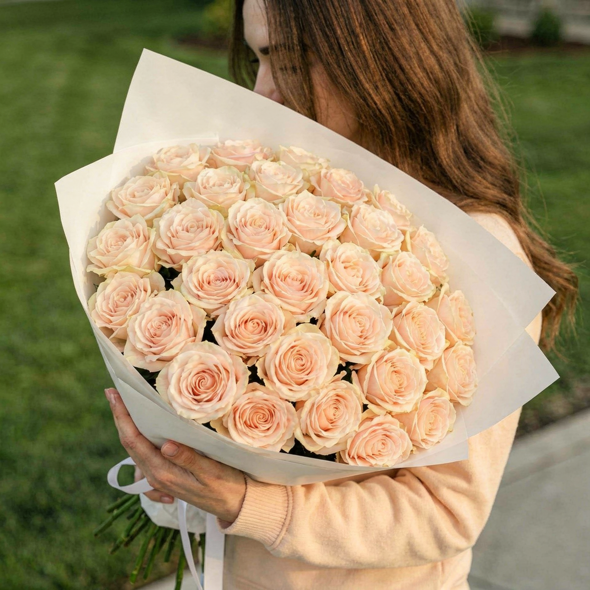 Creamy Roses