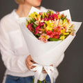 Mix Alstroemeria